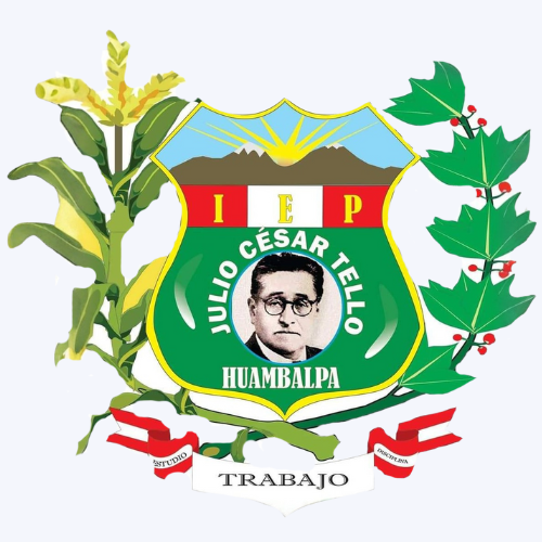 IE JULIO CESAR TELLO